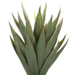 Beliani Kunstplant YUCCA - Groen Synthetisch Materiaal 2 Beliani Kunstplant YUCCA - Groen Synthetisch Materiaal -Beliani 1970047753 0102