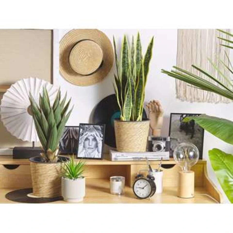 Beliani Kunstplant YUCCA - Groen Synthetisch Materiaal Beliani Kunstplant YUCCA - Groen Synthetisch Materiaal -Beliani 1970047753 0103