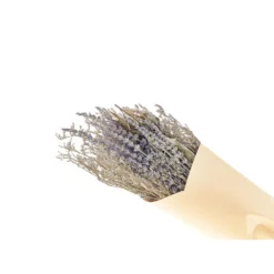 Beliani Droogbloemen Boeket NAWARRA - Paars Droogbloemen 3 Beliani Droogbloemen Boeket NAWARRA - Paars Droogbloemen -Beliani 552df9b3a9d941bb8aae9e94a0c6993e