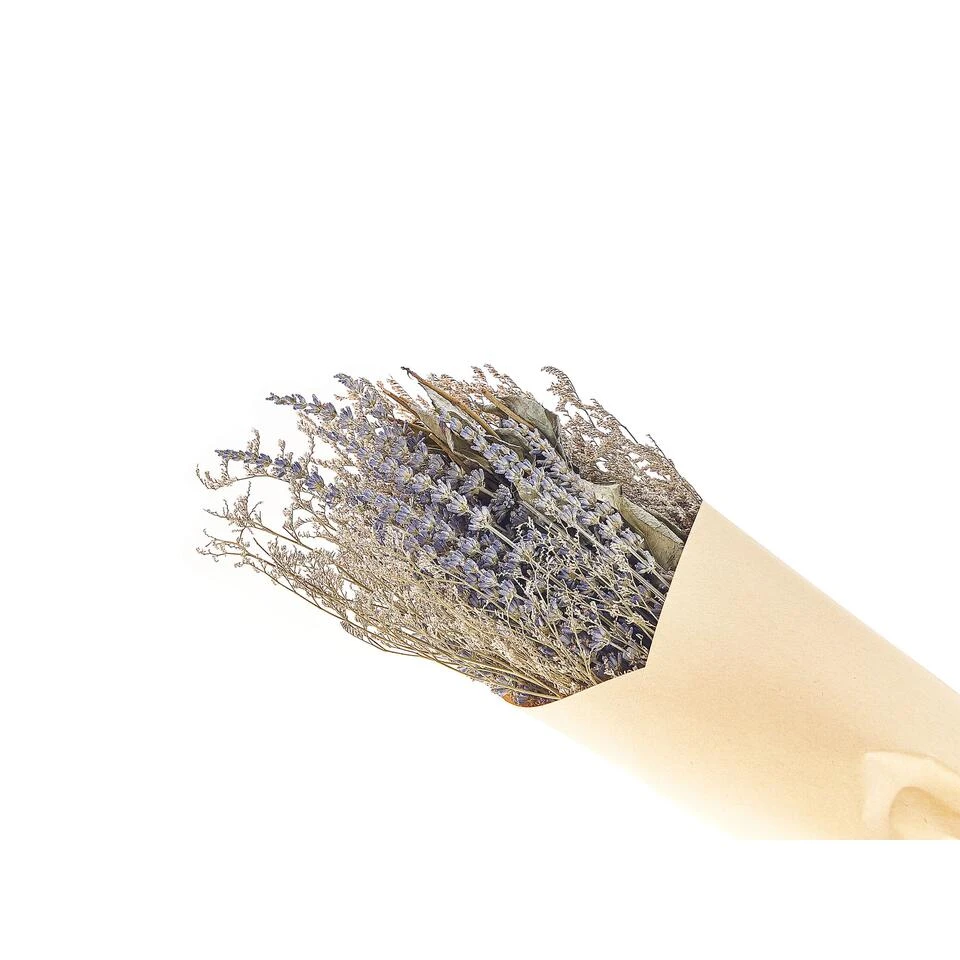 Beliani Droogbloemen Boeket NAWARRA - Paars Droogbloemen Beliani Droogbloemen Boeket NAWARRA - Paars Droogbloemen -Beliani 552df9b3a9d941bb8aae9e94a0c6993e