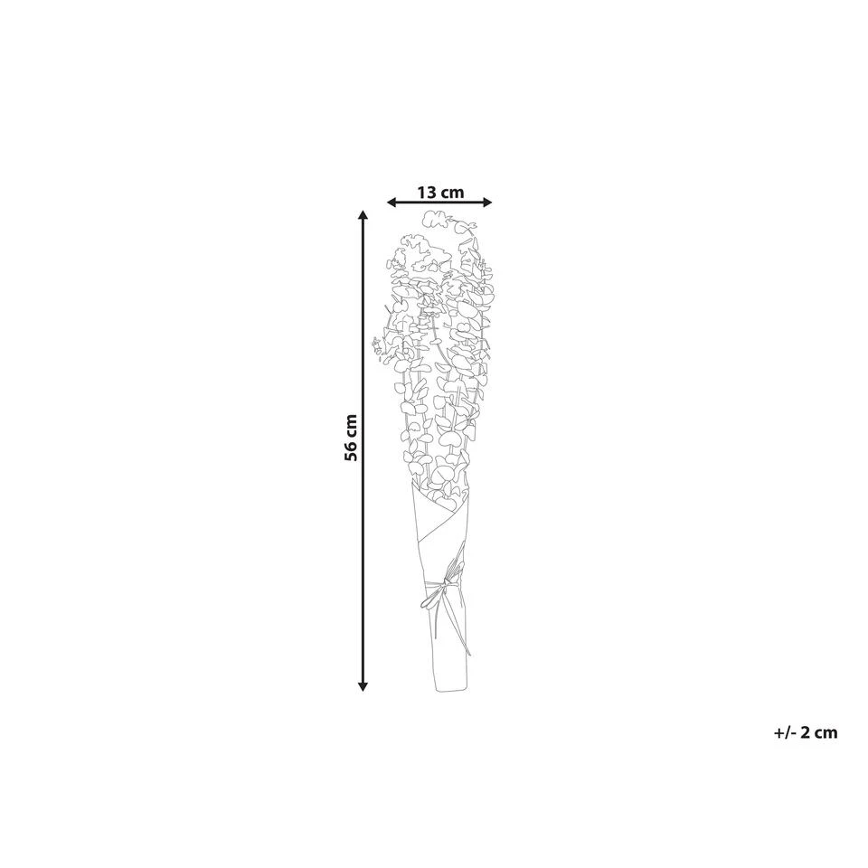 Beliani Droogbloemen Boeket BADAJOZ - Rood Droogbloemen Beliani Droogbloemen Boeket BADAJOZ - Rood Droogbloemen -Beliani 8f2039f36f14461c8d23517b1ca38e18
